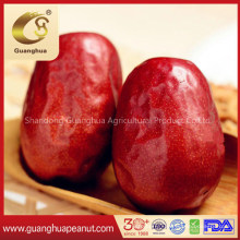 Hot Selling Premium Red Jujube From China
